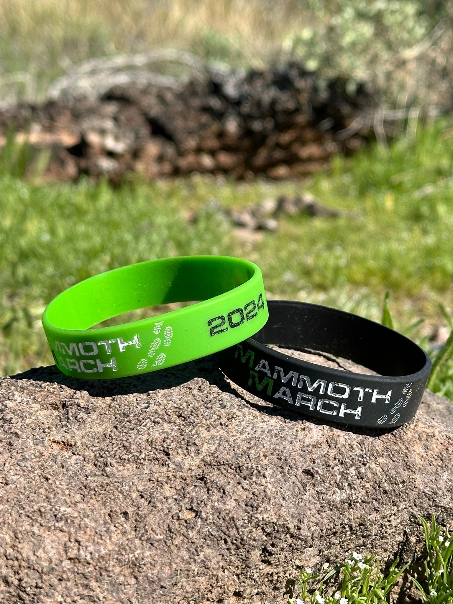 Rubber wristband 2024