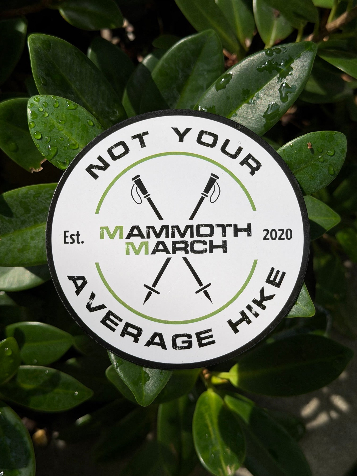 MammothMarch Fridge Magnet